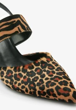 Next FOREVER COMFORT® BUCKLE DETAIL STANDARD - Pumps - Animal Print -Next 4787846ea26c4c66bd7b84dd1cb45e56