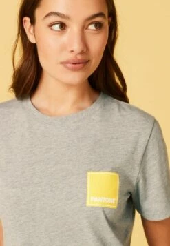 Next SHORT SLEEVE STANDARD - T-Shirt Print - Grey -Next e1a5c6f3bef54b87afb1a6809a0d22ee